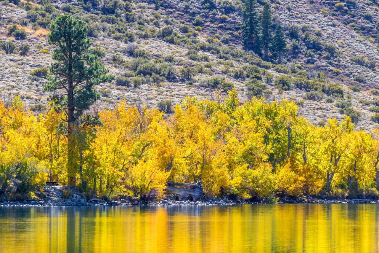 June Lake Motel Exteriér fotografie